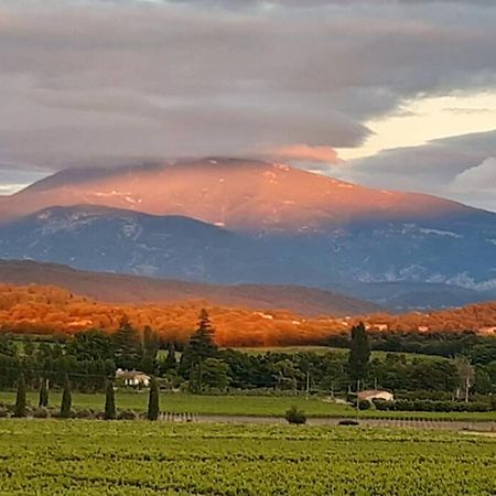 Le Clos Des Pins, Vue Mont Ventoux Roaix 외부 사진