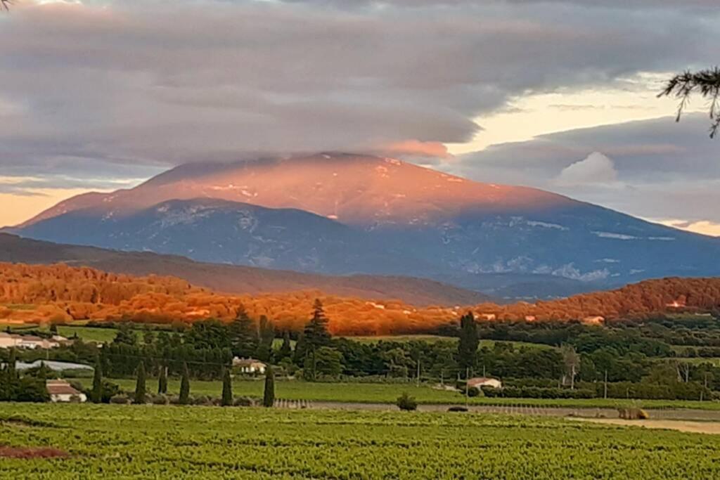 Le Clos Des Pins, Vue Mont Ventoux Roaix 외부 사진